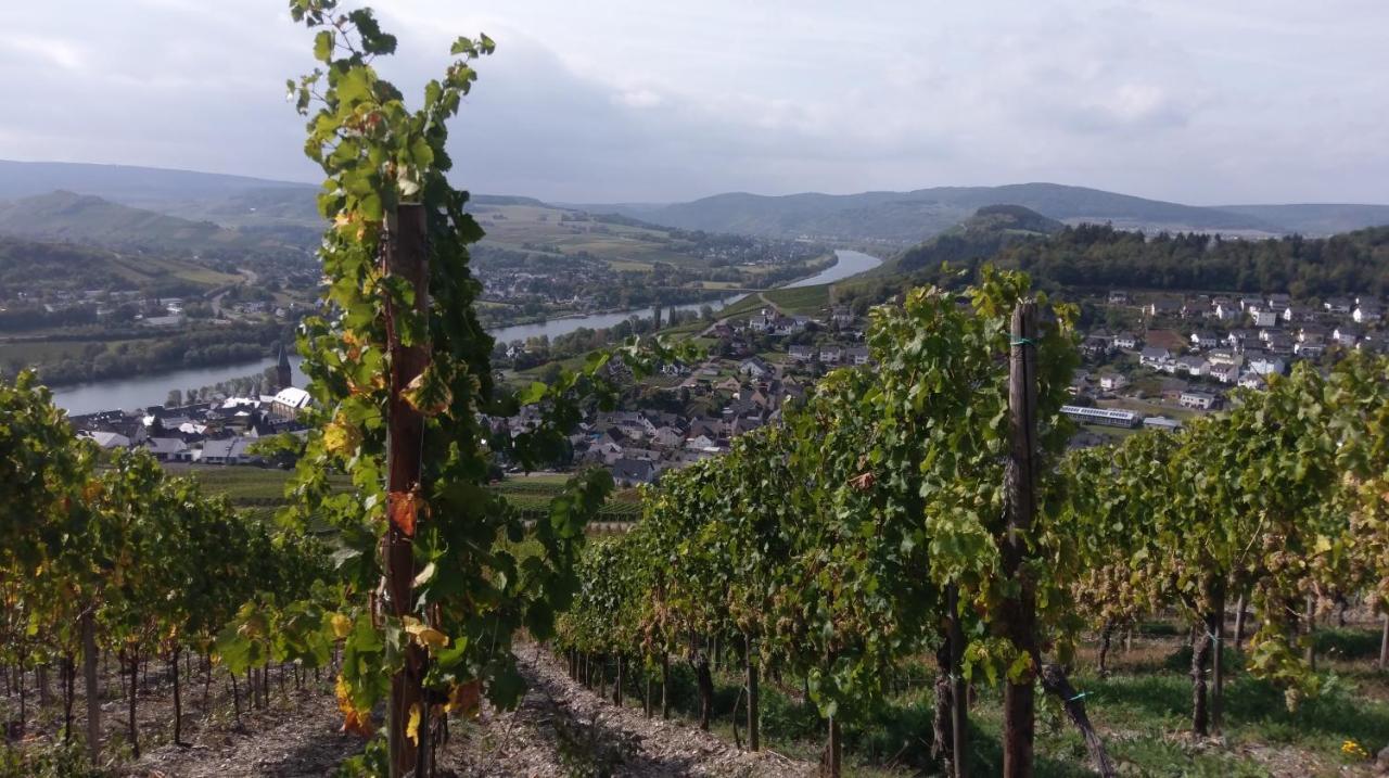 Appartement Weingut & Gastehaus Schumann à Lieser Extérieur photo